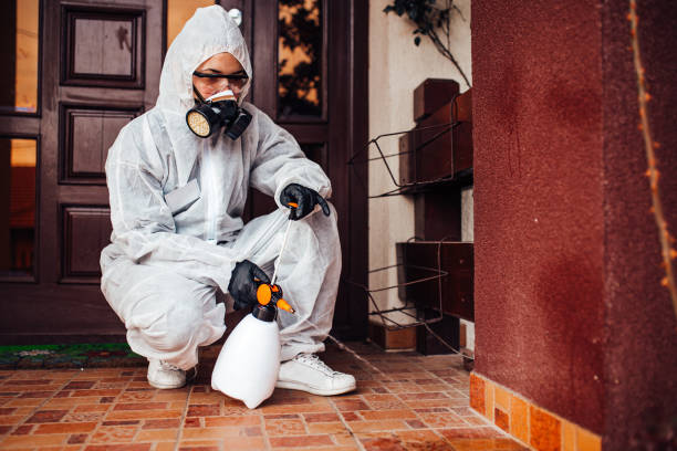 Reliable Bed Bug Control contractor in Flint Hill, MO by Nex Pest Control